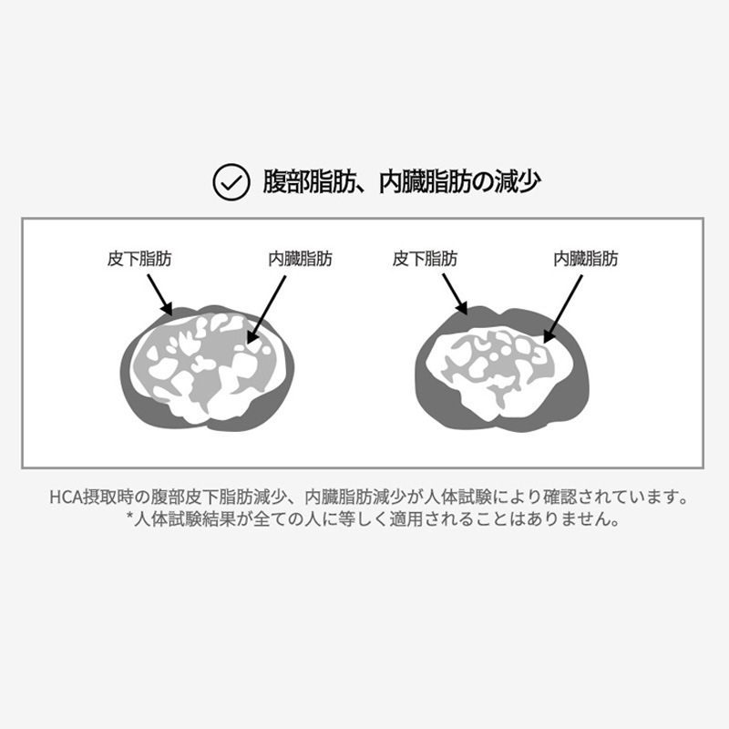 [3+2]ライトカット+13 (28包) ダイエット 漢方ダイエット体脂肪カット炭水化物カットカテキン ガルシニアカンボジア サプリ