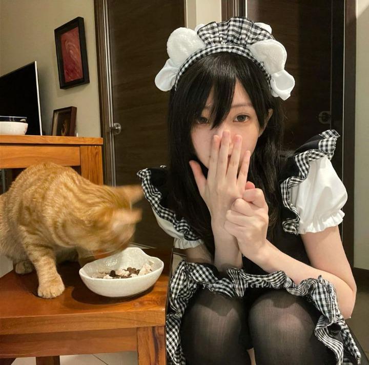 ワンピース レディース 2色 8点セット チョーカー ニーハイソックス ミニ メイド服 エプロン ギンガムチェック リボン フリル 猫 キャット リボン 脚長 細見え スリム シースルー パーティード ワンピース レディース 2色 8点セット チョーカー ニーハイソックス ミニ メイド服 エプロン ギンガムチェック リボン フリル 猫 キャット リボン 脚長 細見え スリム シースルー パーティード