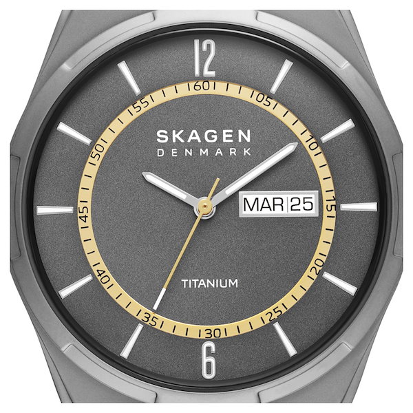 Qoo10] スカーゲン 【国内正規品】SKAGEN