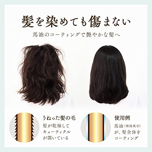 PROSIA(プロシア) ヘアカラートリートメント ヘアマスカラ ヘアケア2点セット ダークブラウン ヘアカラー トリートメント 白髪隠し ヘアマスカラ 白髪 徐々に染まる 馬油 艶 生え際 リタッチ