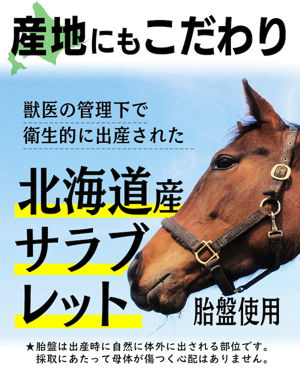 Qoo10] 馬プラセンタ 12000 60粒5袋セッ