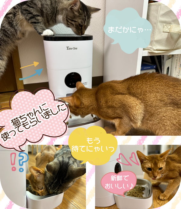 Qoo10] Take-One P2Pro ペット自動給餌器 Take