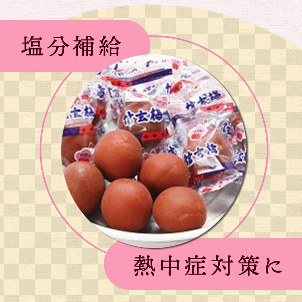 健康生活 業務用サイズ 1.2キロ 大容量 ASフーズ カリカリ信玄梅 個包装 通常サイズの4倍の量 ボトルつめかえ用 健康生活 業務用サイズ 1.2キロ 大容量 ASフーズ カリカリ信玄梅 個包装 通常サイズの4倍の量 ボトルつめかえ用