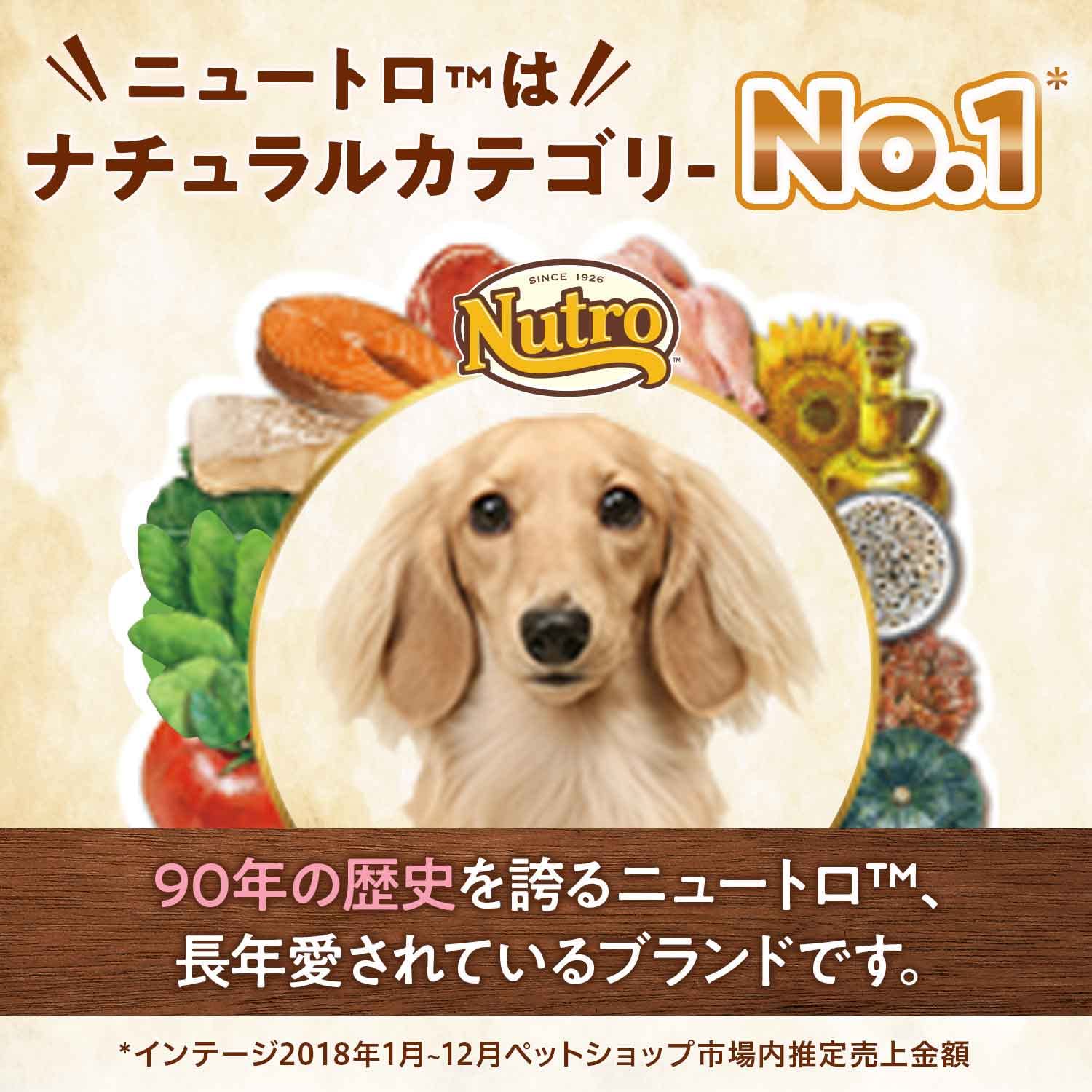 Nutro ニュートロ ナチュラルチョイス 避妊・去勢犬用 超小型犬~小型犬用 エイジングケア チキン&玄米 3kg ドッグフード