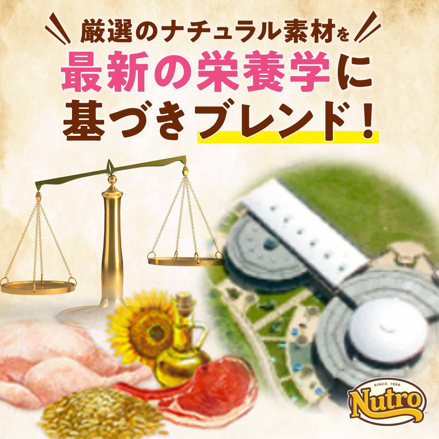 Nutro ニュートロ ナチュラルチョイス 避妊・去勢犬用 超小型犬~小型犬用 エイジングケア チキン&玄米 3kg ドッグフード