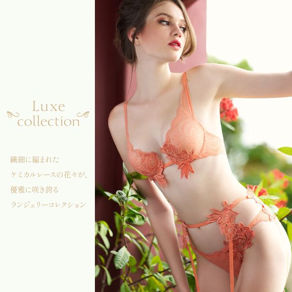 アンブラ Luxe バックデザイン2WAY ロングブラジャー 大きいサイズ ANNEBRA アンブラ Luxe バックデザイン2WAY ロングブラジャー 大きいサイズ ANNEBRA