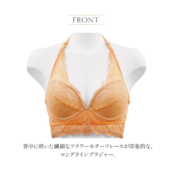 アンブラ Luxe バックデザイン2WAY ロングブラジャー 大きいサイズ ANNEBRA アンブラ Luxe バックデザイン2WAY ロングブラジャー 大きいサイズ ANNEBRA
