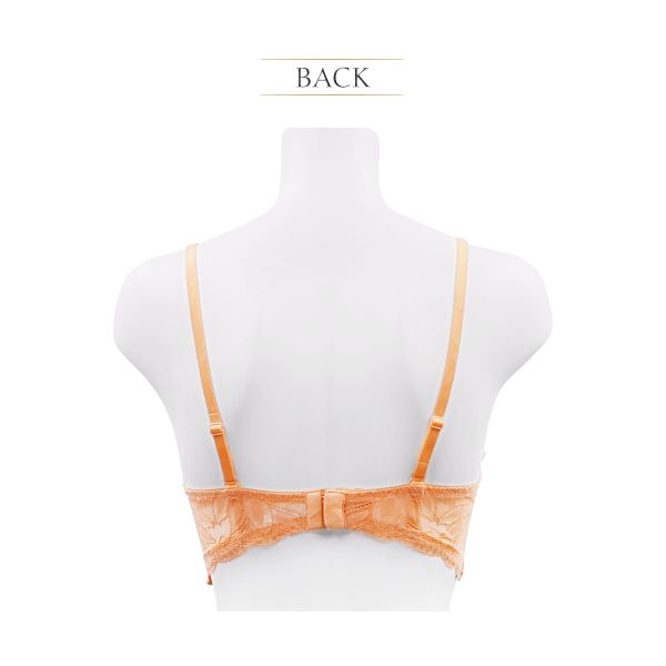 アンブラ Luxe バックデザイン2WAY ロングブラジャー 大きいサイズ ANNEBRA アンブラ Luxe バックデザイン2WAY ロングブラジャー 大きいサイズ ANNEBRA