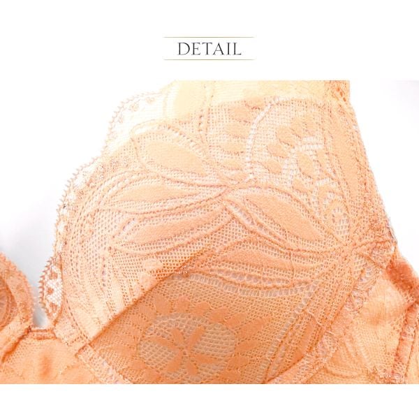 アンブラ Luxe バックデザイン2WAY ロングブラジャー 大きいサイズ ANNEBRA アンブラ Luxe バックデザイン2WAY ロングブラジャー 大きいサイズ ANNEBRA