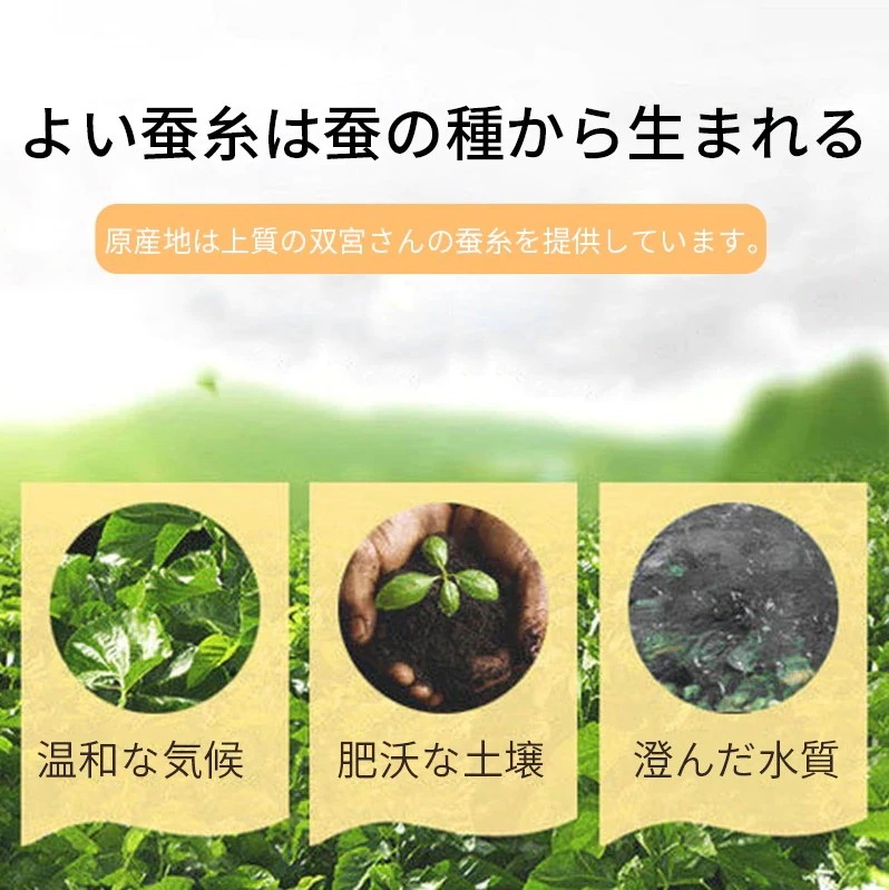 春夏布団 シルク布団 蚕糸掛け布団 布団 絹100% け殺菌 7年保証20年まで使用可能 春夏布団 シルク布団 蚕糸掛け布団 布団 絹100% け殺菌 7年保証20年まで使用可能