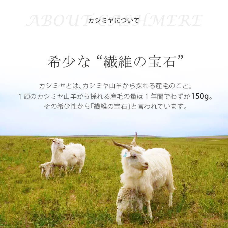 [Filomo]アラシャンカシミヤ100％大判マフラーストール