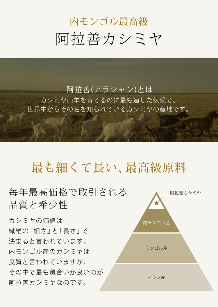 [Filomo]アラシャンカシミヤ100％大判マフラーストール