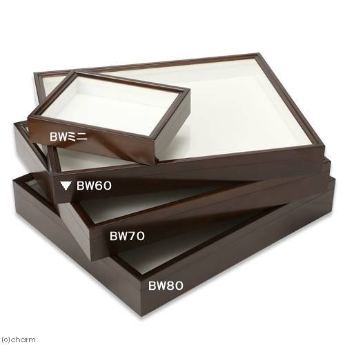バードウイング　ドイツ標本箱　ＢＷ60（標準サイズ）507Ｘ418Ｘ60ｍｍ バードウィング製 ドイツ型標本箱 BW60（幅50．7X奥行き