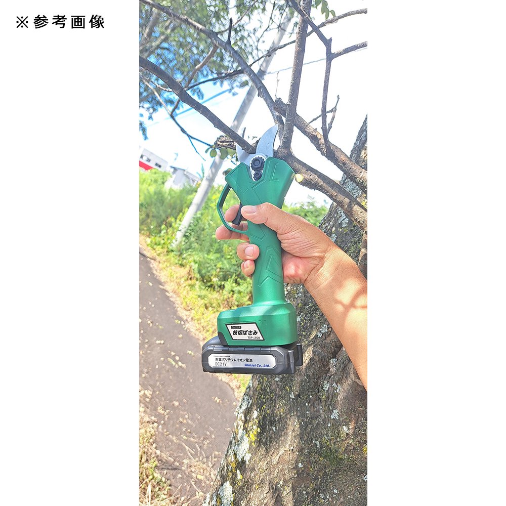 充電式 枝切ばさみ250 剪定ばさみ 軽い 庭木 コードレス CRC90―76―03―00―00 充電式 枝切ばさみ250 剪定ばさみ 軽い 庭木 コードレス CRC90―76―03―00―00