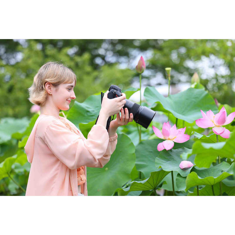 タムロン カメラレンズ (ニコンZ用) 90mm F2.8 Di III MACRO VXD/Model F072Z タムロン カメラレンズ (ニコンZ用) 90mm F2.8 Di III MACRO VXD/Model F072Z