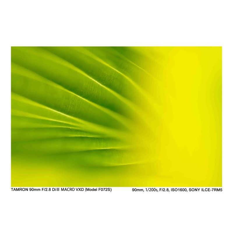 タムロン カメラレンズ (ニコンZ用) 90mm F2.8 Di III MACRO VXD/Model F072Z タムロン カメラレンズ (ニコンZ用) 90mm F2.8 Di III MACRO VXD/Model F072Z
