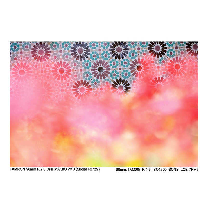 タムロン カメラレンズ (ニコンZ用) 90mm F2.8 Di III MACRO VXD/Model F072Z タムロン カメラレンズ (ニコンZ用) 90mm F2.8 Di III MACRO VXD/Model F072Z