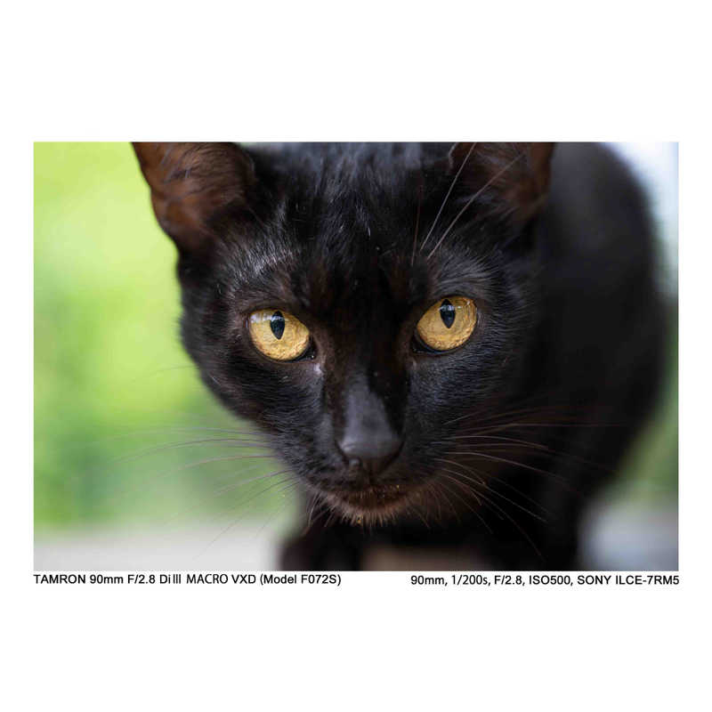 タムロン カメラレンズ (ニコンZ用) 90mm F2.8 Di III MACRO VXD/Model F072Z タムロン カメラレンズ (ニコンZ用) 90mm F2.8 Di III MACRO VXD/Model F072Z