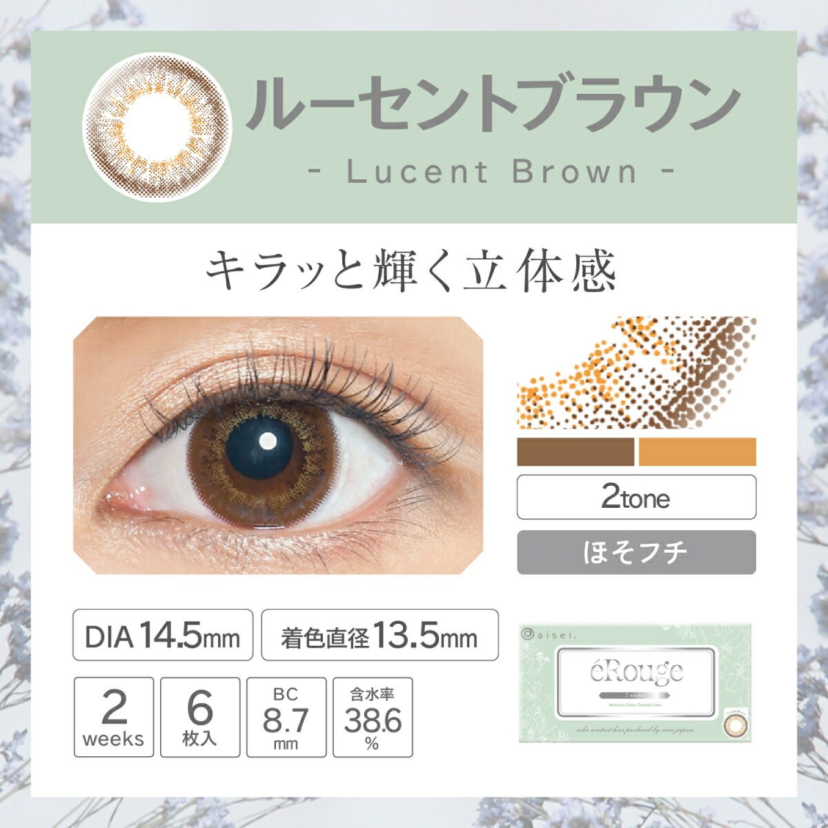 カラコン 2week 【2箱セット】 1箱6枚入り カラーコンタクト コンタクト 度あり 度なし ツーウィーク 2週間 カラコン