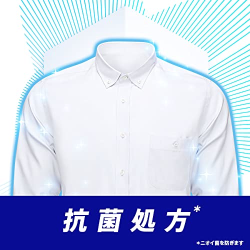 【ケース販売】アリエール フレッシュクリーンの香り 洗濯用合成洗剤 1000g×6袋 【ケース販売】アリエール フレッシュクリーンの香り 洗濯用合成洗剤 1000g×6袋