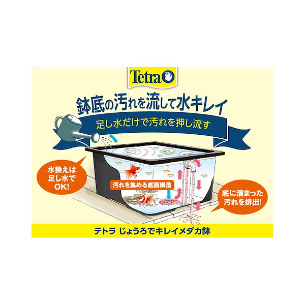 【9台セット】Tetra テトラ じょうろでキレイメダカ鉢 20 黒×9台 9台セット】Tetra テトラ じょうろでキレイメダカ鉢 20 黒×9台 テトラ