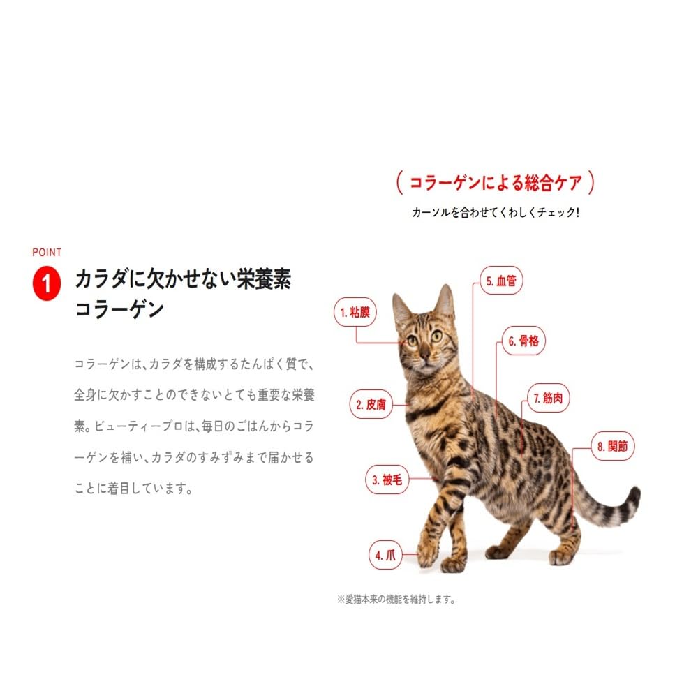 ビューティープロ キャットフード 下部尿路の健康維持1歳から フィッシュ味 4.5kg(450g×10袋) 【国産】【獣医師監修】【マリンコラーゲン】 ビューティープロ キャットフード 下部尿路の健康維持1歳から フィッシュ味 4.5kg(450g×10袋) 【国産】【獣医師監修】【マリンコラーゲン】