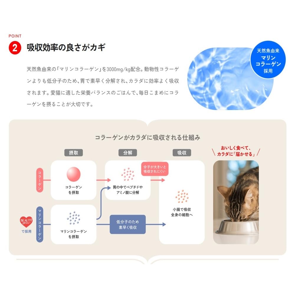 ビューティープロ キャットフード 下部尿路の健康維持1歳から フィッシュ味 4.5kg(450g×10袋) 【国産】【獣医師監修】【マリンコラーゲン】 ビューティープロ キャットフード 下部尿路の健康維持1歳から フィッシュ味 4.5kg(450g×10袋) 【国産】【獣医師監修】【マリンコラーゲン】