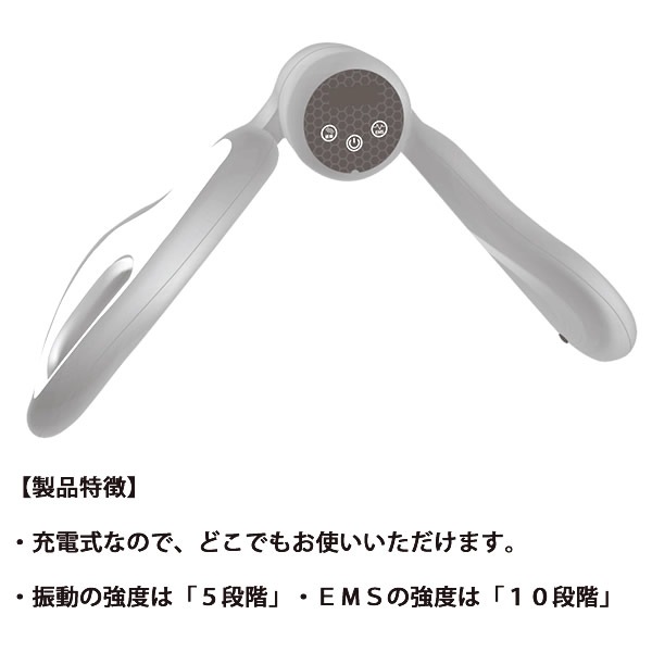 LIFE FIT ライフフィット Vトレアプローチ (送料無料) EMS 振動 骨盤 補正 歪み O脚 ながら 運動 エクササイズ バスト 内転筋 腹筋 ケア 充電式 お尻 太もも 脚