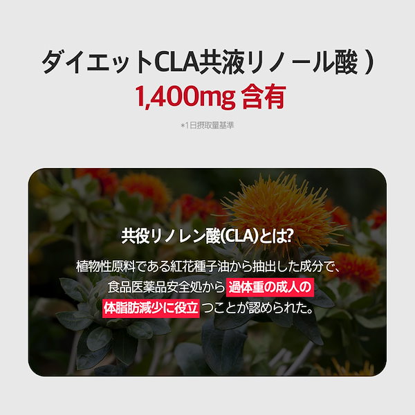 Fat Fire ダイエットサプリ 3本セット Fat Fire ダイエットサプリ 3本セット