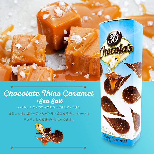 はな様一枚サイズ36 100000613 車用品・バイク用品 ハムレット チョコチップス 24P ミルク