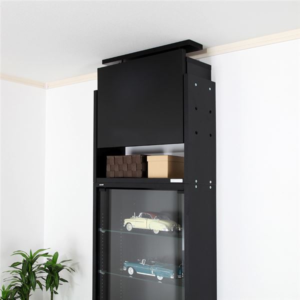 コレクションケース/収納棚 レギュラー 専用上置き ハイタイプ 奥行19cm用 ブラウン 幅54.1cm 本体別売 組立品