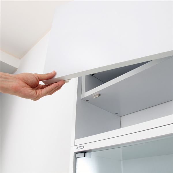 コレクションケース/収納棚 レギュラー 専用上置き ハイタイプ 奥行19cm用 ブラウン 幅54.1cm 本体別売 組立品