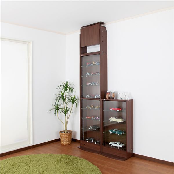 コレクションケース/収納棚 レギュラー 専用上置き ハイタイプ 奥行19cm用 ブラウン 幅54.1cm 本体別売 組立品