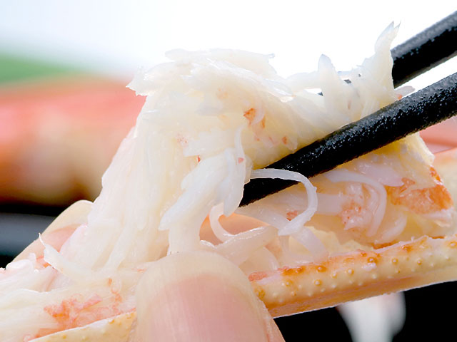 訳あり ボイル 本ズワイガニ 足 2kg 詰 ズワイガニ 脚 ずわいがに脚