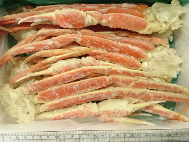訳あり ボイル 本ズワイガニ 足 2kg 詰 ズワイガニ 脚 ずわいがに脚