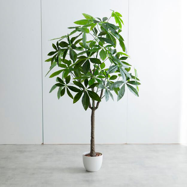 フェイクグリーン 人工観葉植物 おしゃれ 光触媒 観葉植物 高さ150cm リアル フェイク 防臭効果 インテリア パキラ フェイクグリーン 人工観葉植物 おしゃれ 光触媒 観葉植物 高さ150cm リアル フェイク 防臭効果 インテリア パキラ