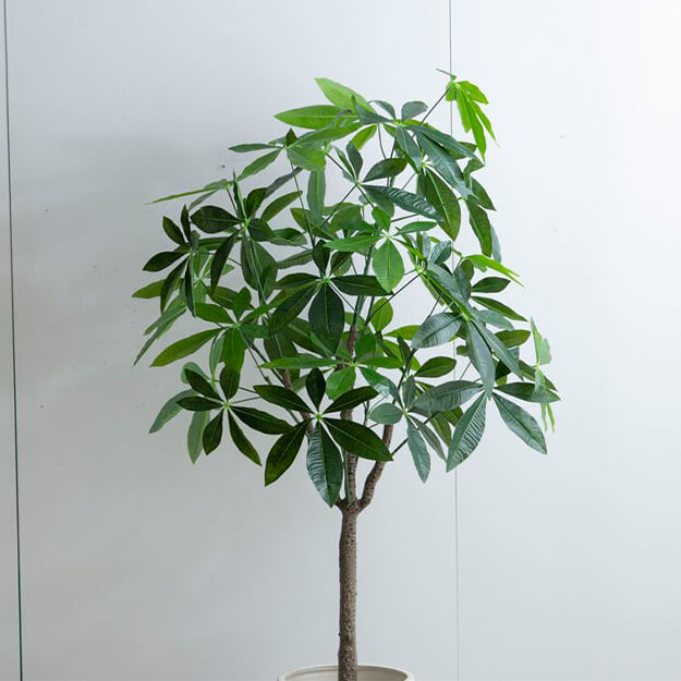 フェイクグリーン 人工観葉植物 おしゃれ 光触媒 観葉植物 高さ150cm リアル フェイク 防臭効果 インテリア パキラ フェイクグリーン 人工観葉植物 おしゃれ 光触媒 観葉植物 高さ150cm リアル フェイク 防臭効果 インテリア パキラ