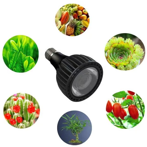 Qoo10] 植物育成ライト led 植物ライト 24