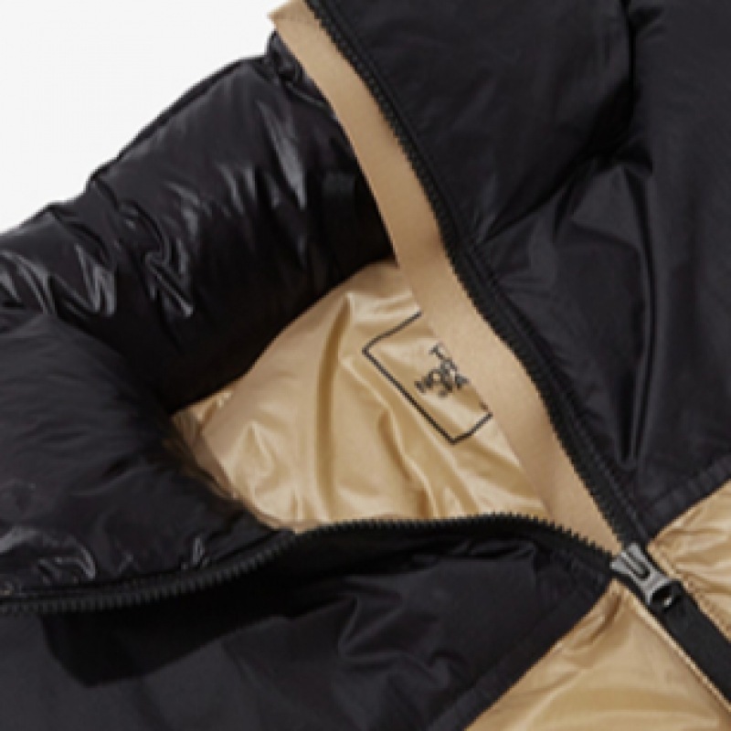 ノースフェイス 1996ヌプシエアダウンジャケット NJ1DQ50D_LBE