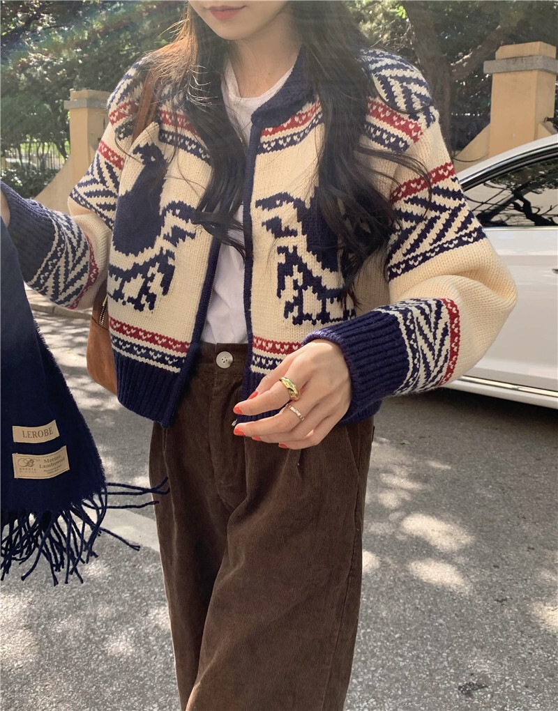 カウチン風 マルチカラー配色 模様編み バード柄 鳥模様 幾何学調パターン ジップアップ カウチン風 マルチカラー配色 模様編み バード柄 鳥模様 幾何学調パターン ジップアップ