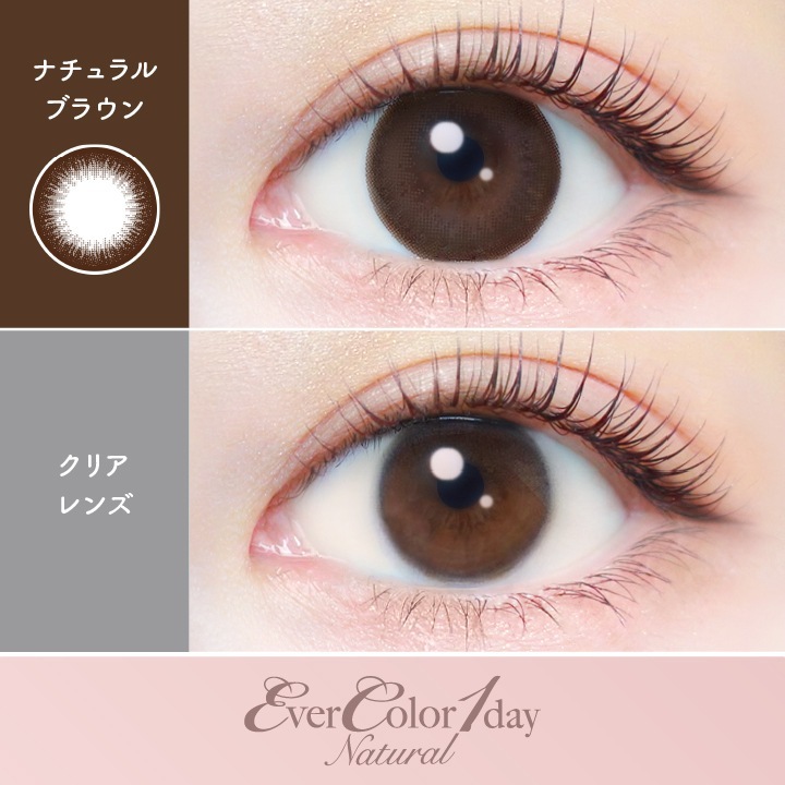 【2箱セット】カラコン 1day エバーカラーワンデー ナチュラル 新木優子 【2箱40枚入】 度あり 度なし DIA 14.5mm パールベージュ ひとめぼれの恋 くぎづけの心 ナチュラルブラウン