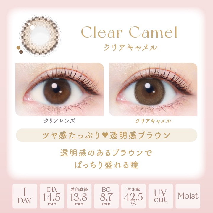 【2箱セット】カラコン 1day エバーカラーワンデー ナチュラル 新木優子 【2箱40枚入】 度あり 度なし DIA 14.5mm パールベージュ ひとめぼれの恋 くぎづけの心 ナチュラルブラウン