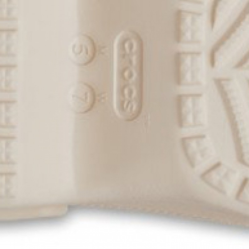 ベラクロッグ WWM クロックス用 ベラクロッグ WWM クロックス用