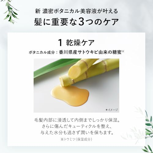 BOTANIST ボタニスト シャンプー トリートメント セット 大容量 詰め替え 【ダメージケア】 BOTANIST ボタニスト シャンプー トリートメント セット 大容量 詰め替え 【ダメージケア】