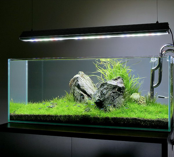 アクロ TRIANGLE くし LED GROW 600