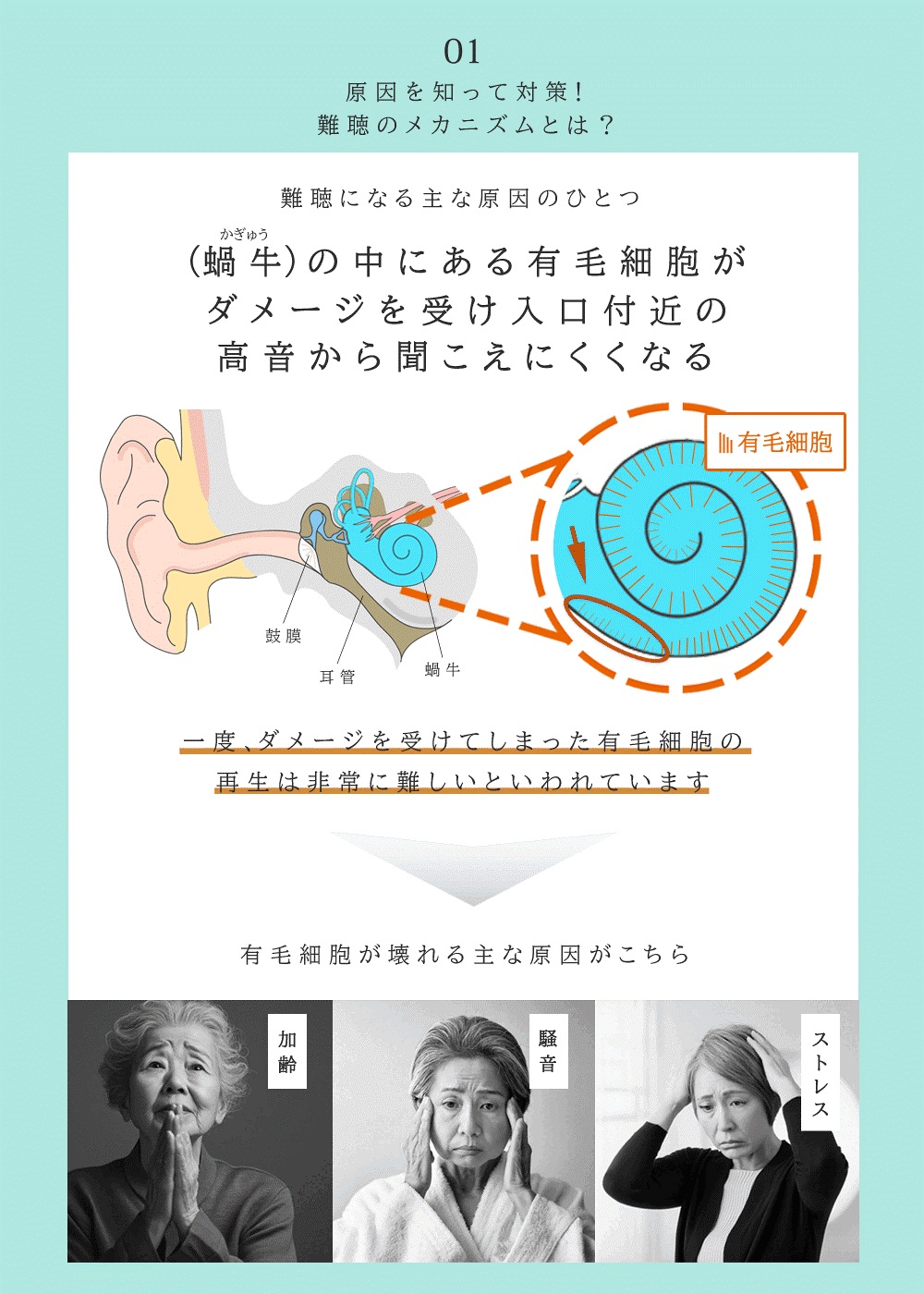 【携帯用 鼓膜按摩器 Clear クリア】 難聴 予防 耳鳴り 対策 聴力低下 加齢性難聴 突発性難聴 更年期 耳鳴り 原因 聞き取りにくい 聞こえにくい 聴力改善 中耳加圧治療 中耳加圧療法 耳 マ 【携帯用 鼓膜按摩器 Clear クリア】 難聴 予防 耳鳴り 対策 聴力低下 加齢性難聴 突発性難聴 更年期 耳鳴り 原因 聞き取りにくい 聞こえにくい 聴力改善 中耳加圧治療 中耳加圧療法 耳 マ