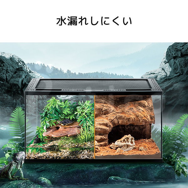 Qoo10] テラリウム 爬虫類 飼育 ケージ 両生類