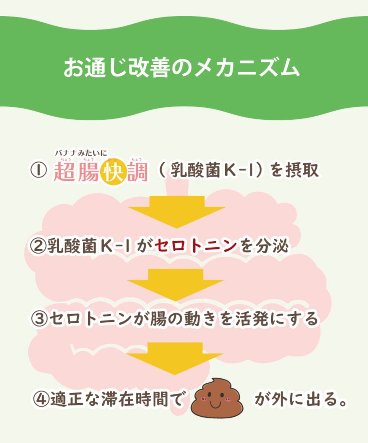 【お通じ改善サプリ】バナナみたいに超腸快調(450粒ｘ2袋) 乳酸菌 腸活 モロヘイヤ 機能性表示食品