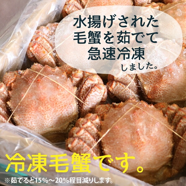 毛ガニ 北海道産 急速冷凍 500g前後1尾 けがに 毛がに 毛蟹 取り寄せ 北海道 かに カニ 毛ガニ ギフト 北海道グルメ お取り寄せ 贈り物 お取り寄せグルメ 贈答品 お取り寄せギフト 酒の肴 毛ガニ 北海道産 急速冷凍 500g前後1尾 けがに 毛がに 毛蟹 取り寄せ 北海道 かに カニ 毛ガニ ギフト 北海道グルメ お取り寄せ 贈り物 お取り寄せグルメ 贈答品 お取り寄せギフト 酒の肴