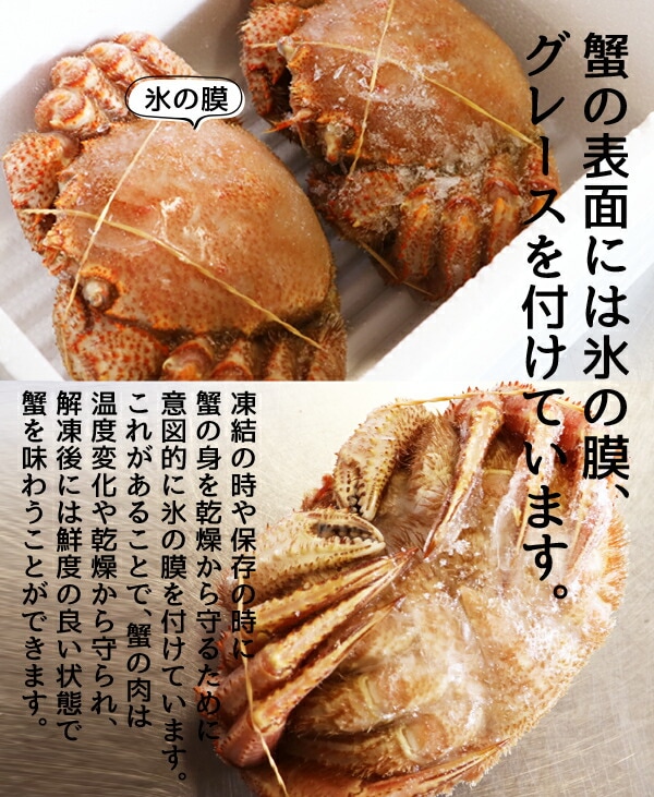 毛ガニ 北海道産 急速冷凍 500g前後1尾 けがに 毛がに 毛蟹 取り寄せ 北海道 かに カニ 毛ガニ ギフト 北海道グルメ お取り寄せ 贈り物 お取り寄せグルメ 贈答品 お取り寄せギフト 酒の肴 毛ガニ 北海道産 急速冷凍 500g前後1尾 けがに 毛がに 毛蟹 取り寄せ 北海道 かに カニ 毛ガニ ギフト 北海道グルメ お取り寄せ 贈り物 お取り寄せグルメ 贈答品 お取り寄せギフト 酒の肴